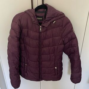 Dark purple Jacket